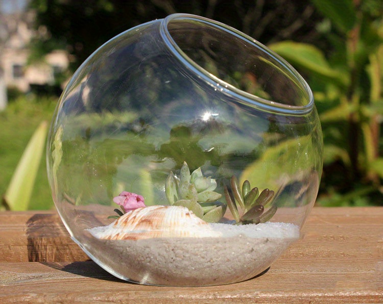 Vintage Tabletop Plant Terrarium: Add A Touch Of Nature To - Temu