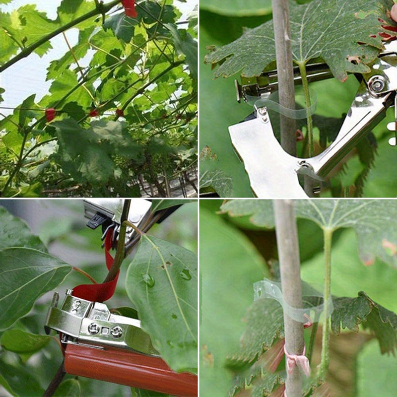 DrRobor Atadora de Tomates Máquina de Cinta para Plantas de Jardín para  UVA, Viña, Tomates, Vegetales, Frutas y Flores (Naranja): .es: Jardín