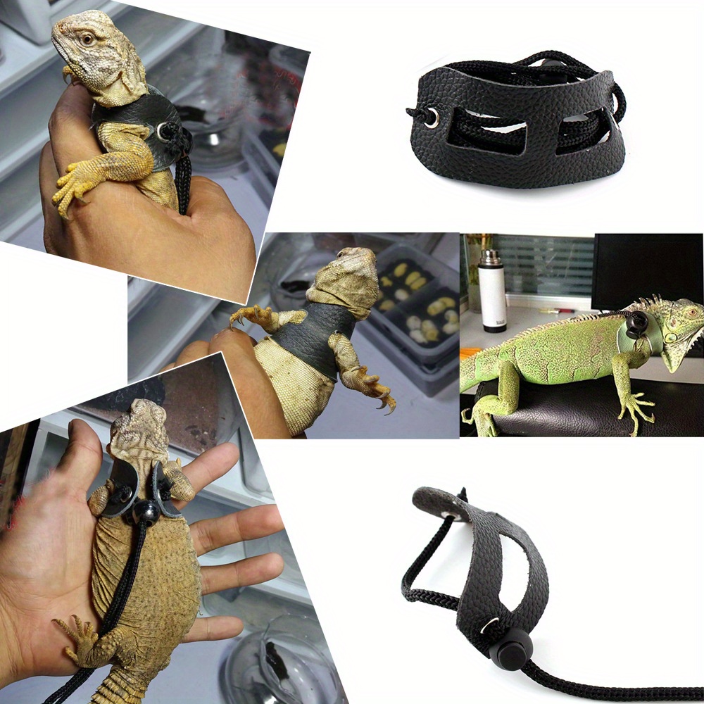 s M L ) Adjustable Leather Harness Leash Bearded Dragons - Temu