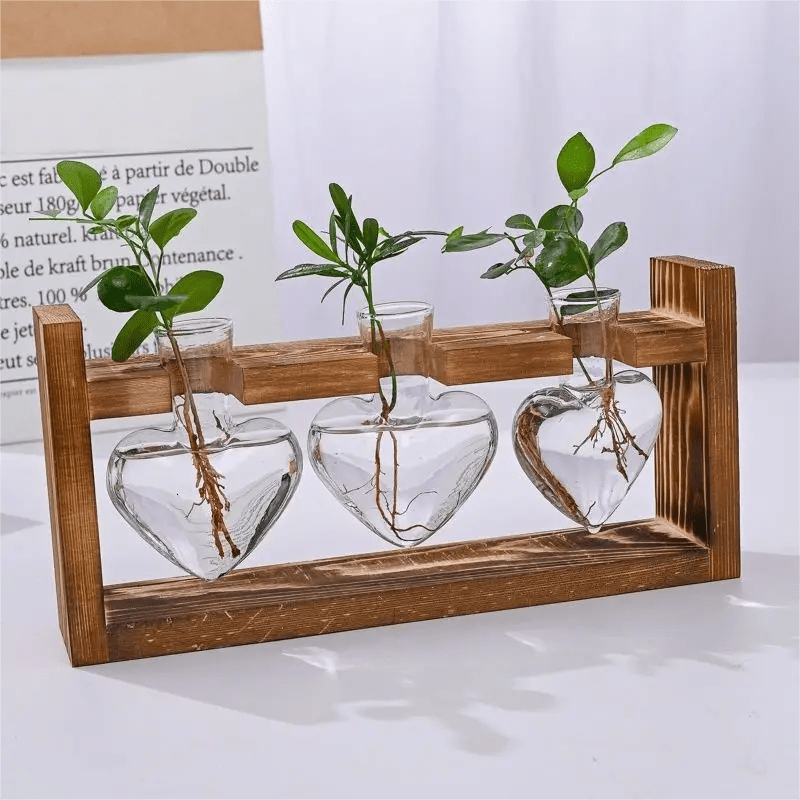  KAXYEW Plant Terrarium with Wooden Stand, Plant