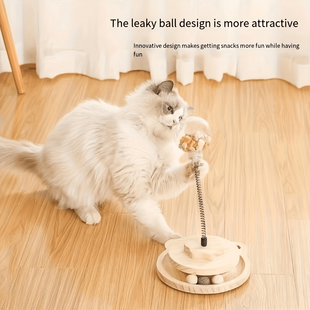 A new and innovative cat interactive feeder