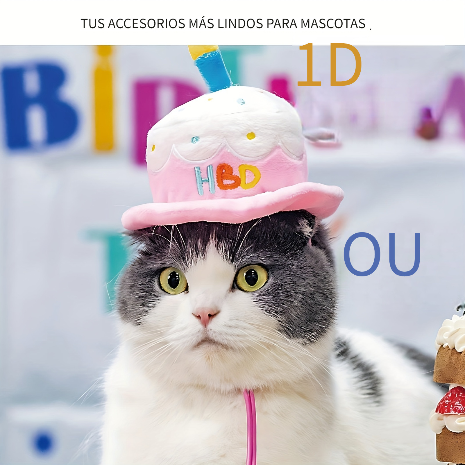 Gorro Cumpleaños Mascotas Bordado Gamuza, Sombrero Pastel Cumpleaños  Mascotas Vela Perros Gatos, Disfraz Fiesta, Pago En Línea Rápido Seguro