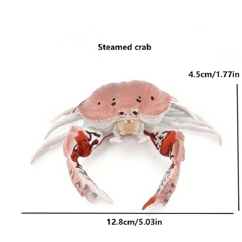 Child Cognition, Simulation, Marine Animal, Model, Crab, Fiddler Crab ...