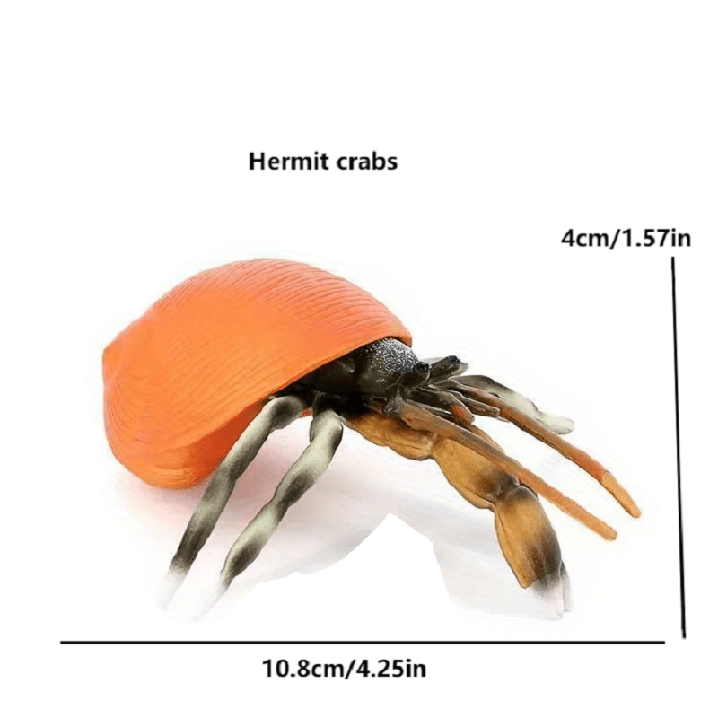 Child Cognition, Simulation, Marine Animal, Model, Crab, Fiddler Crab 