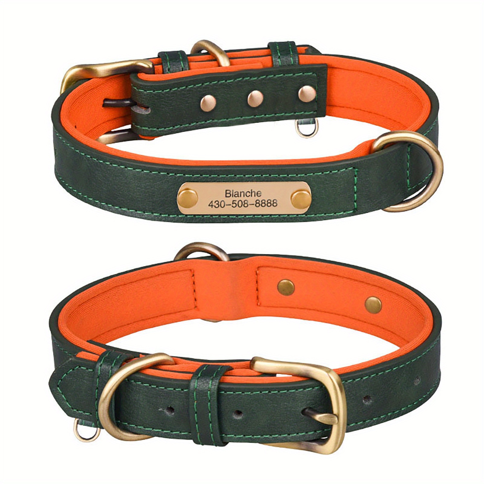 Padded leather dog collar best sale with nameplate