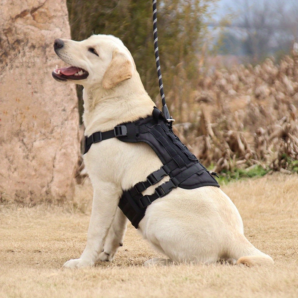 Leather Dog Harness for Medium Large Dogs Heavy Duty Vest with Handle  Labrador