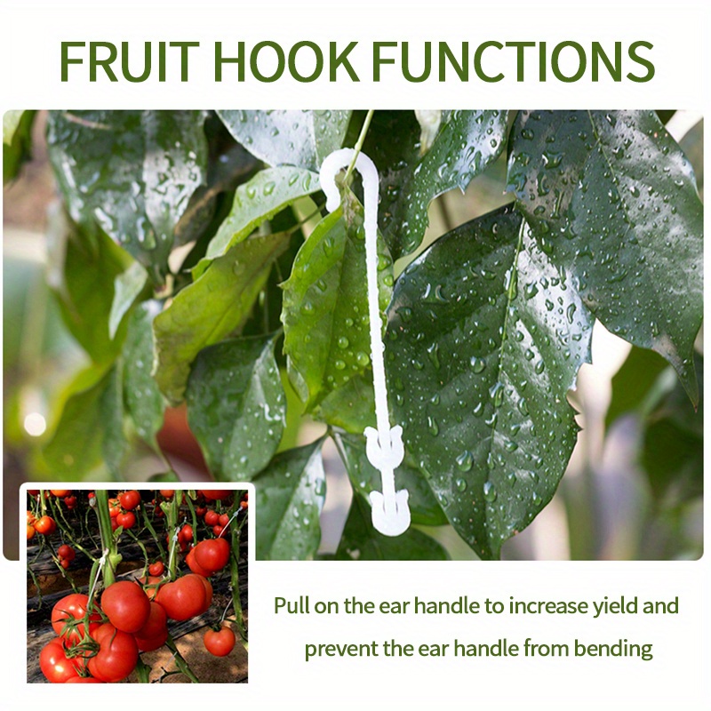 Vegetable Fruit Support J Hooks Tomato Support J Hooks - Temu Australia