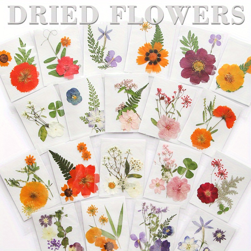 Easy Pressed Flower Bookmarks  Pressed flowers diy, Pressed flower crafts, Dried  flowers diy