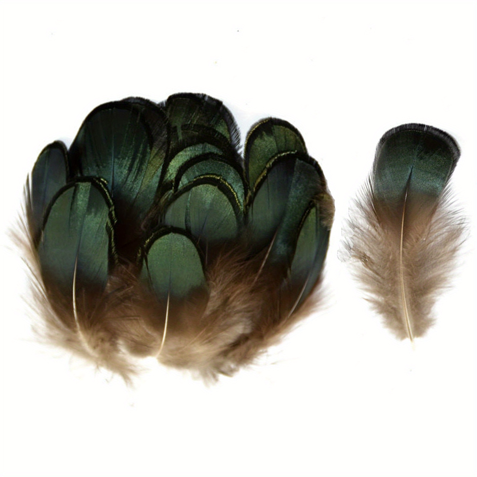 Natural Pheasant Feathers 4 Style Diy Craft Home Party - Temu