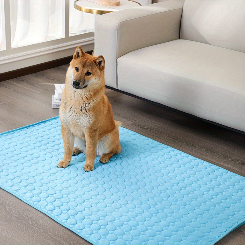 Ice pad outlet for dogs