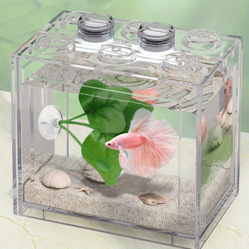 Betta Fish Rest Leaves Aquatic Plants Fish Tank Landscape