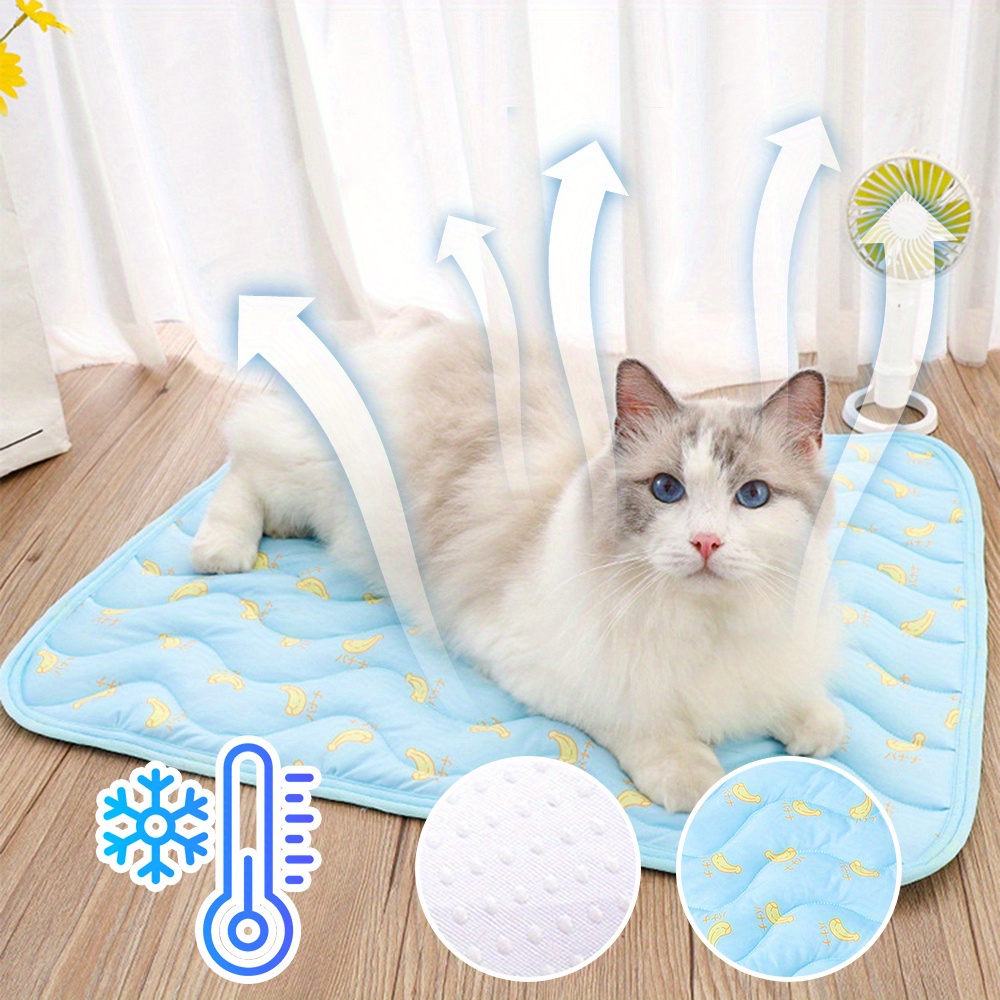 For Cats Scat Mat For Dogs PetSafe ScatMat Pet Proofing Mat