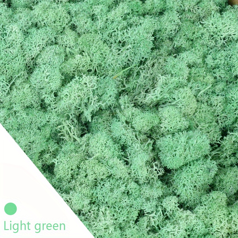New Green Moss for Crafts Natural Artificial Moss Decorative Faux Moss for  Potted Plants 28 OZ Multipurpose Faux Craft Moss for