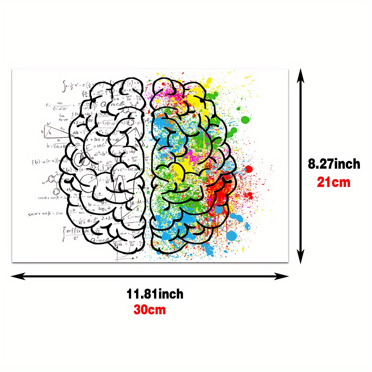 ZHJJD Cuore Cervello Anatomia Poster Medicina Arte della Parete Anatomico  Umano Scienza Medica Poster Acquerello Tela Pittura Clinic Decor 60x80cm No  Frame : : Casa e cucina