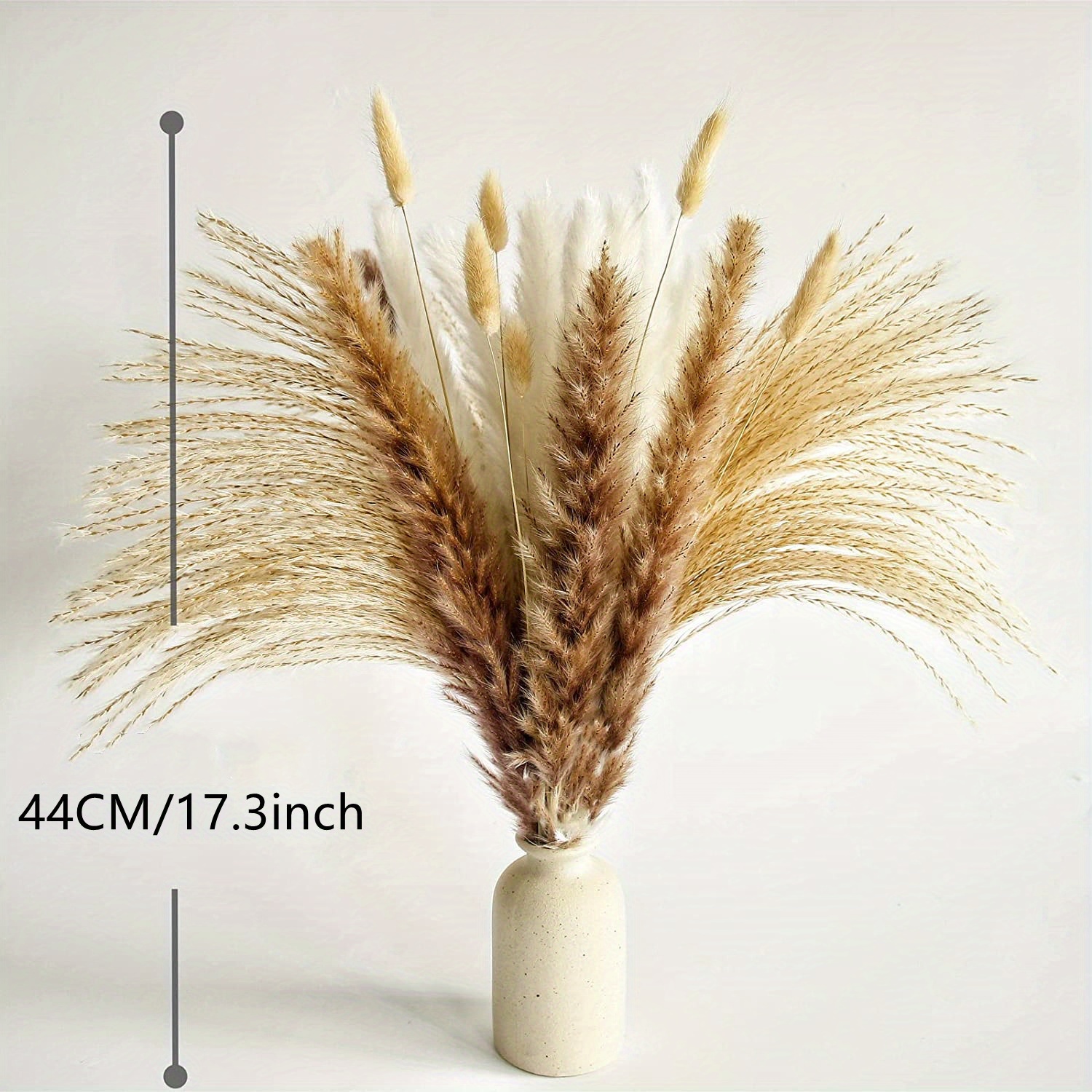 Dried Pampas Grass Decor Beige Pampas Grass Bunny Tails - Temu