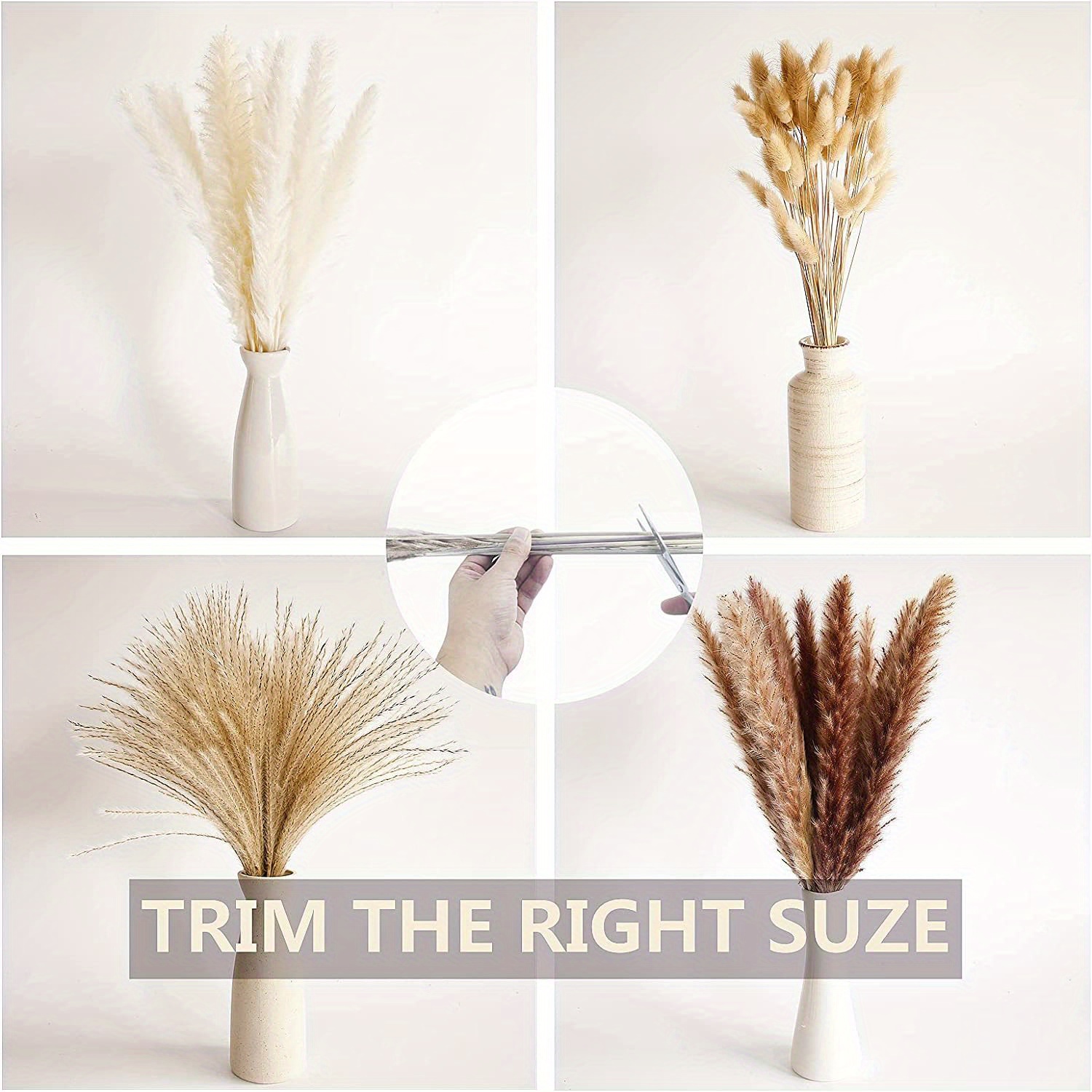 Dried Pampas Grass Decor Beige Pampas Grass Bunny Tails - Temu