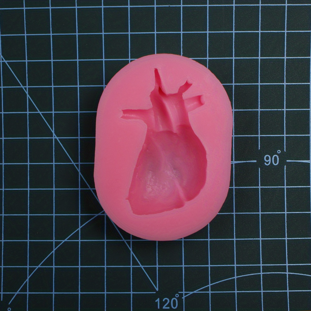 Human Entrails Organs Silicone Molds Heart Molds Halloween Temu Australia