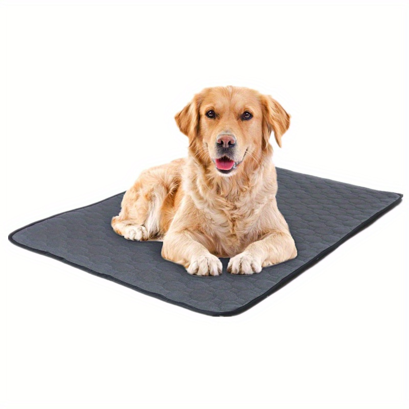 Reusable Non-slip Pet Mat For Dogs And Cats - Absorbent Washable Dog Pee  Pad For Training And Housebreaking - Saves Money And Reduces Waste . - Temu