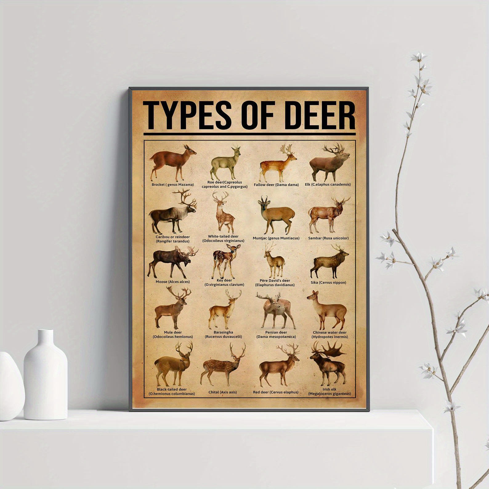 Reindeer Knowledge Canvas Poster Perfect Reindeer Lovers - Temu