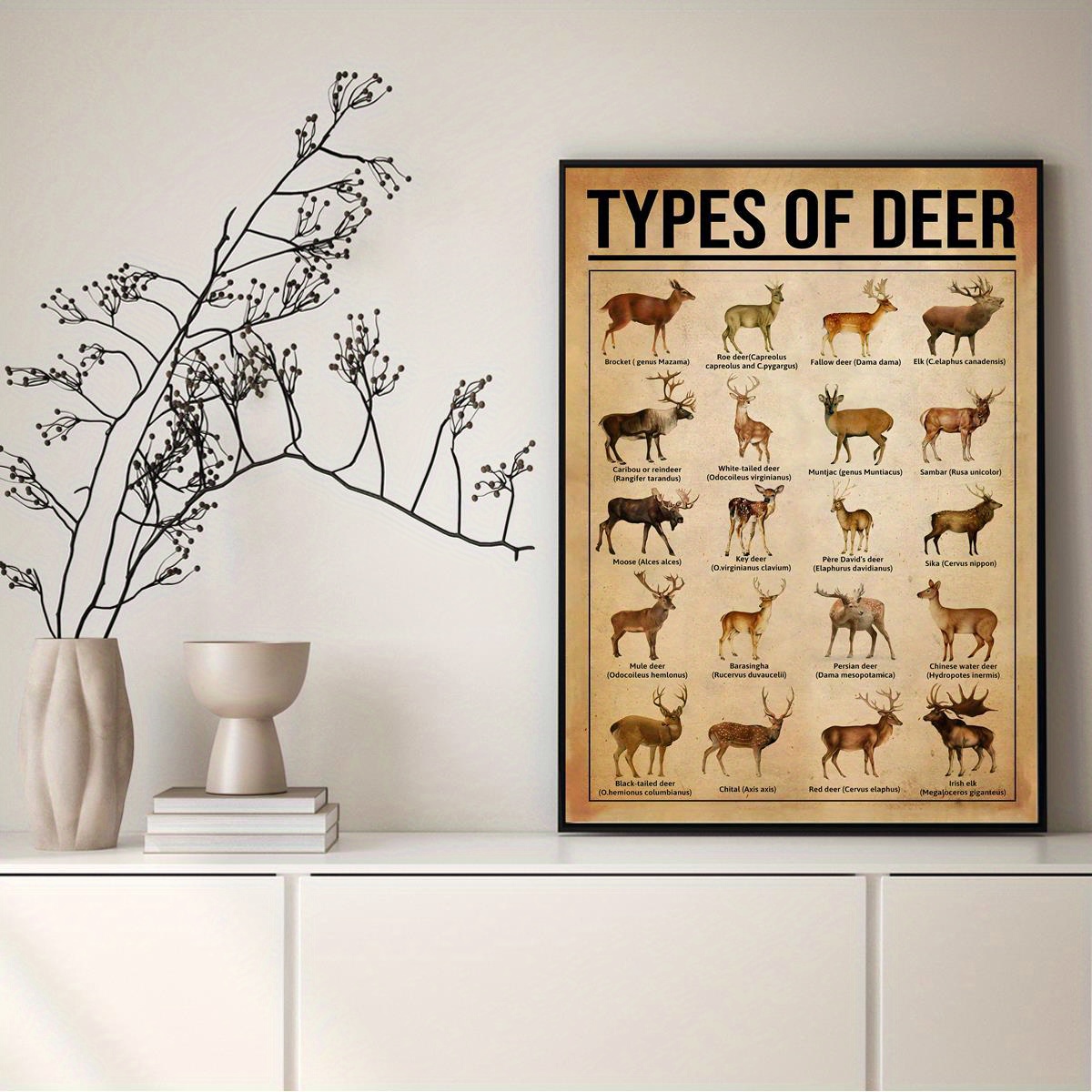 Reindeer Knowledge Canvas Poster Perfect Reindeer Lovers - Temu