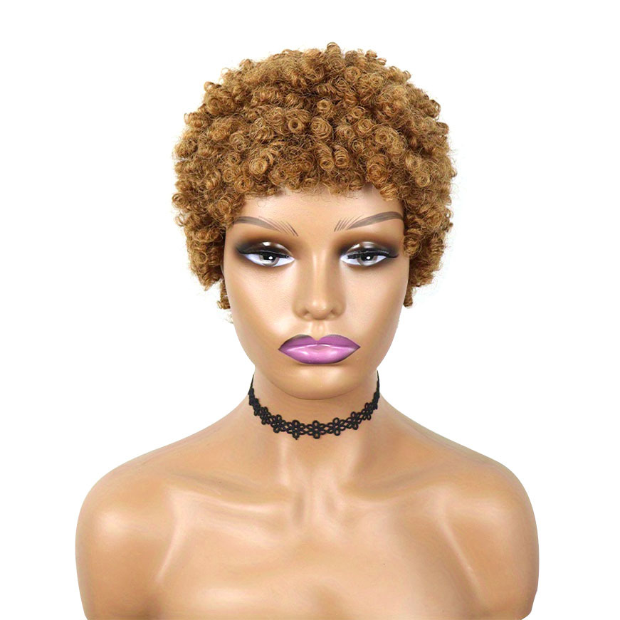 6 Inch Afro Curly Kinky Human Hair Wigs With Bangs Brazilian Remy Curly ...