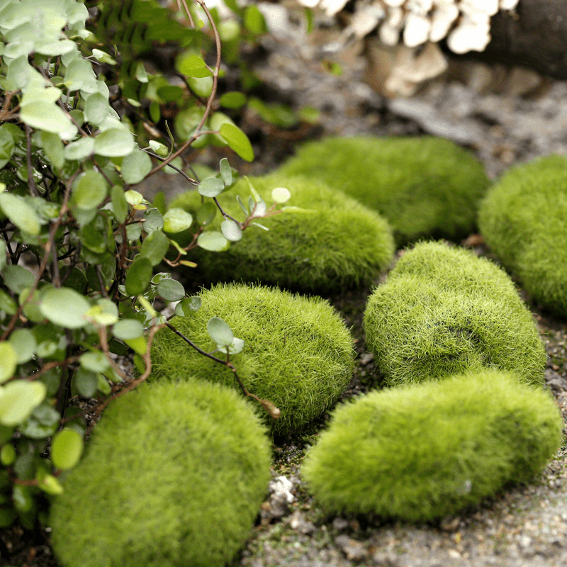 4pcs Moss Balls Decorative Stones For Home, Green Foam Moss Ball For Fairy  Gardens And Crafting, Home Decor