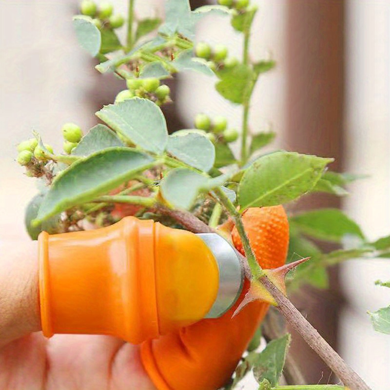 Japanese Flower Stem Cutter