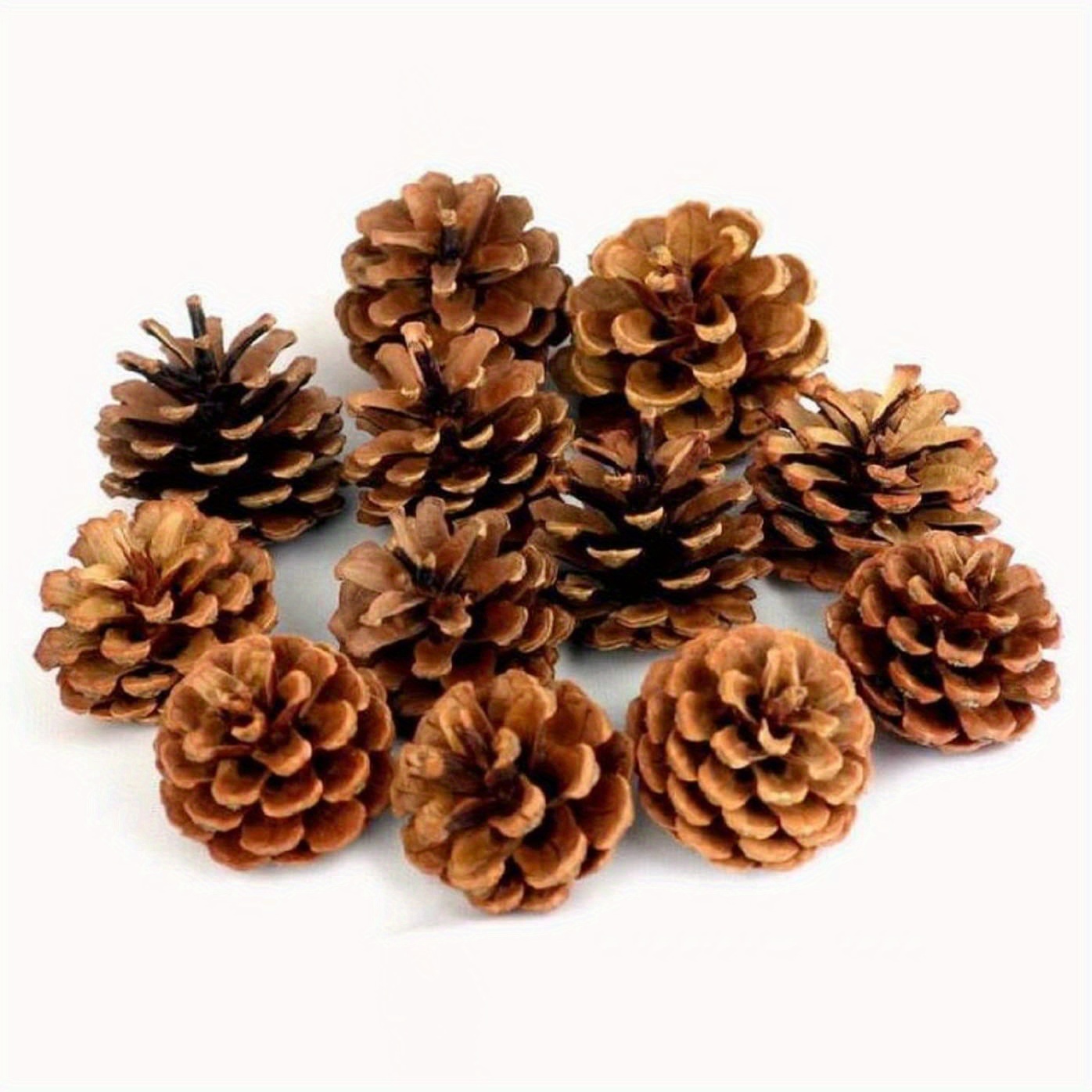 40PCS Snow Pinecones for Decorating, Natural Pine Cones for Crafts Christmas