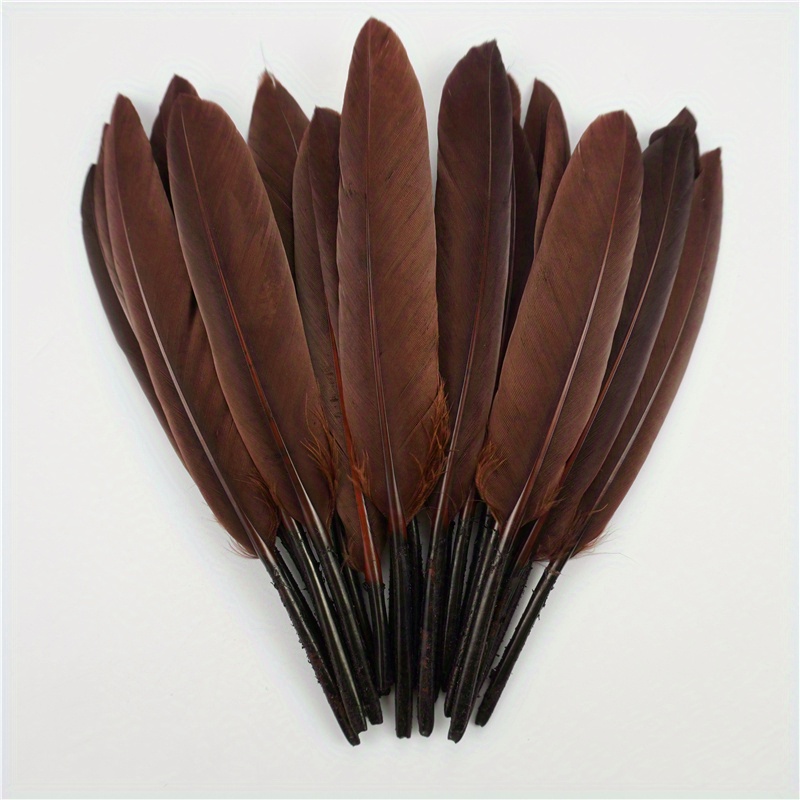 60 plumas de colores grandes, longitud 15-20 cm, 12 colores diferentes,  plumas de colores