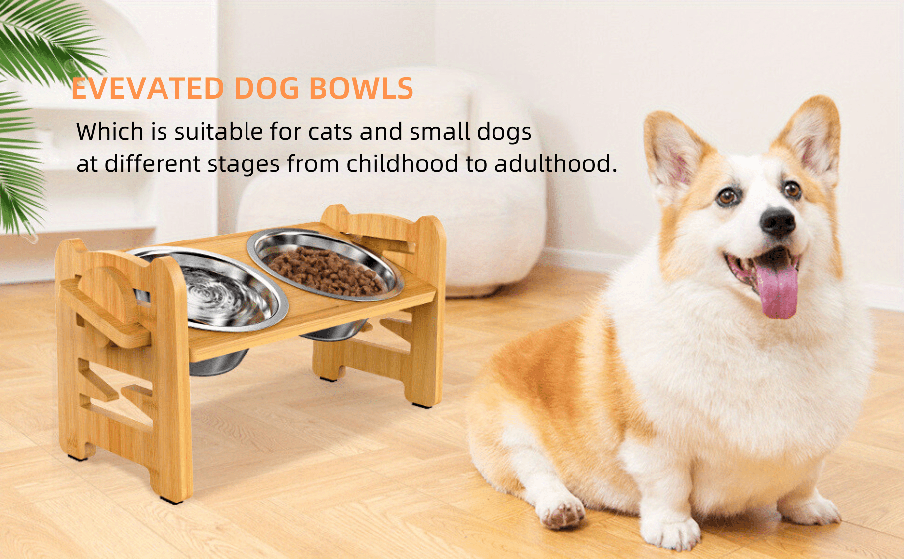 Raised Tilted Dog Bowl for Small Dogs,Elevated Slanted Feeding Bowl for Cat  & French Bulldog,Pet Food and Water Bowl with Adjustable Bamboo Stand, Anti  Slip Dog… in 2023