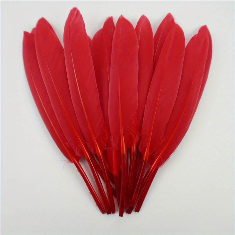 60 plumas de colores grandes, longitud 15-20 cm, 12 colores diferentes,  plumas de colores