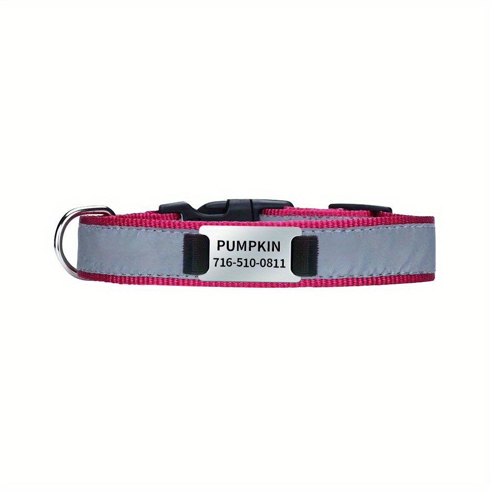 Dog Collar with Personalized Slide-On Nameplate