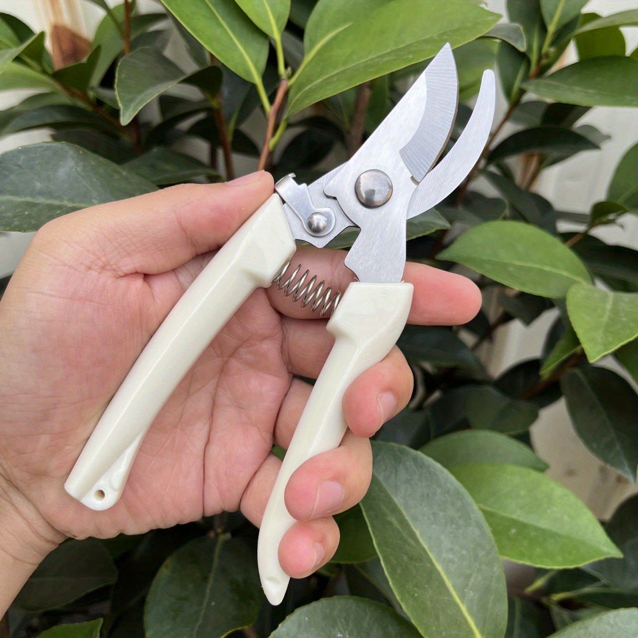 Buy Wholesale China Stainless Steel Fruit Branch Shears Garden