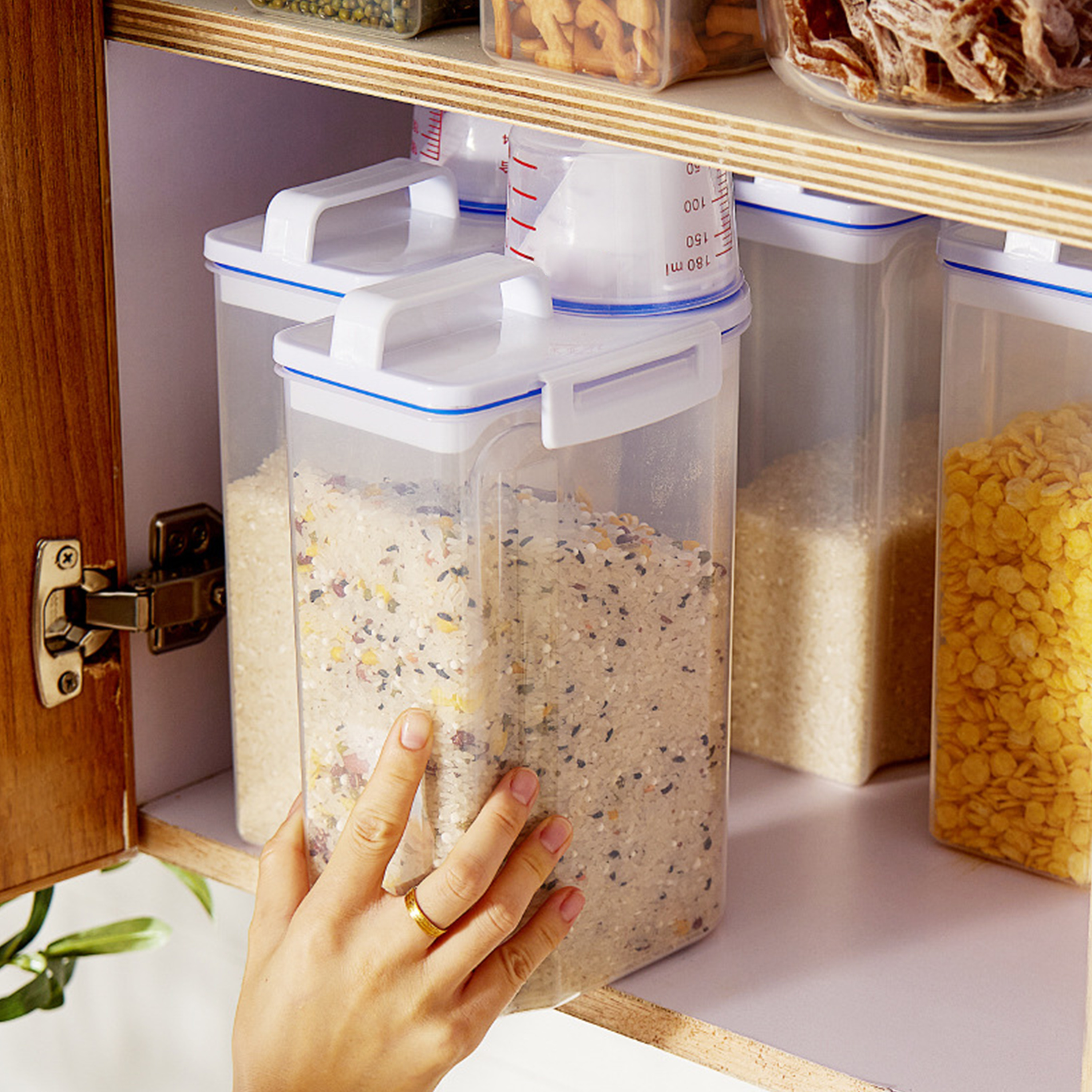 Cereal Storage Container With Lids Bpa Free 2 Sizes Rice - Temu