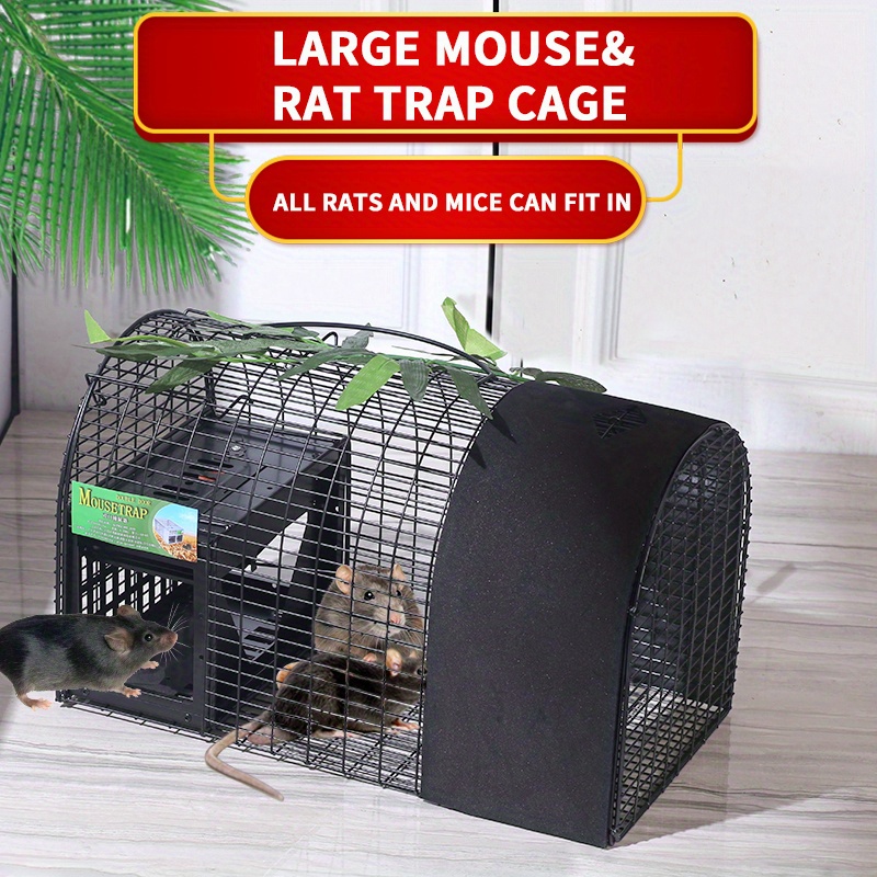 Small Mouse Live Trap Cage - K. K. Discount Store