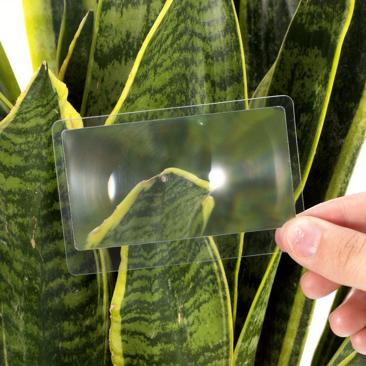 Portable Fresnel Lens Credit Card Magnifiers 3x Pocket Temu