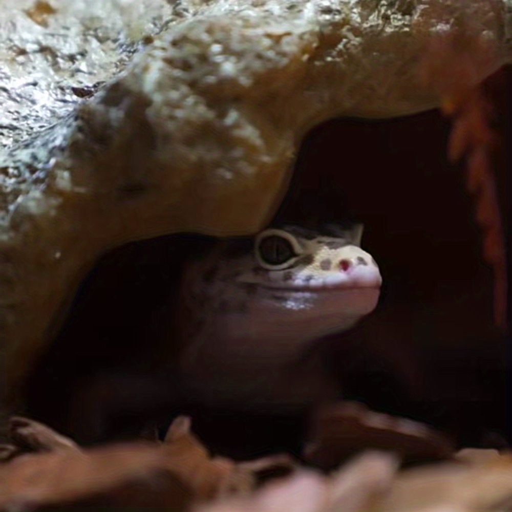 Reptile Rock Hide Cave Create A Natural Habitat Lizards Temu Australia