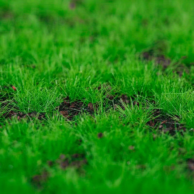 Artificial Grass Turf Moss Mat Faux Grass Panels Large Lawn - Temu