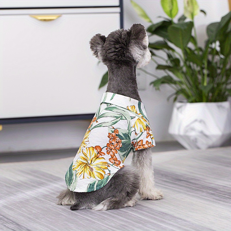 Stay Cool This Summer: Stylish Hawaii-inspired Pet Hats For Dogs And Cats!  - Temu