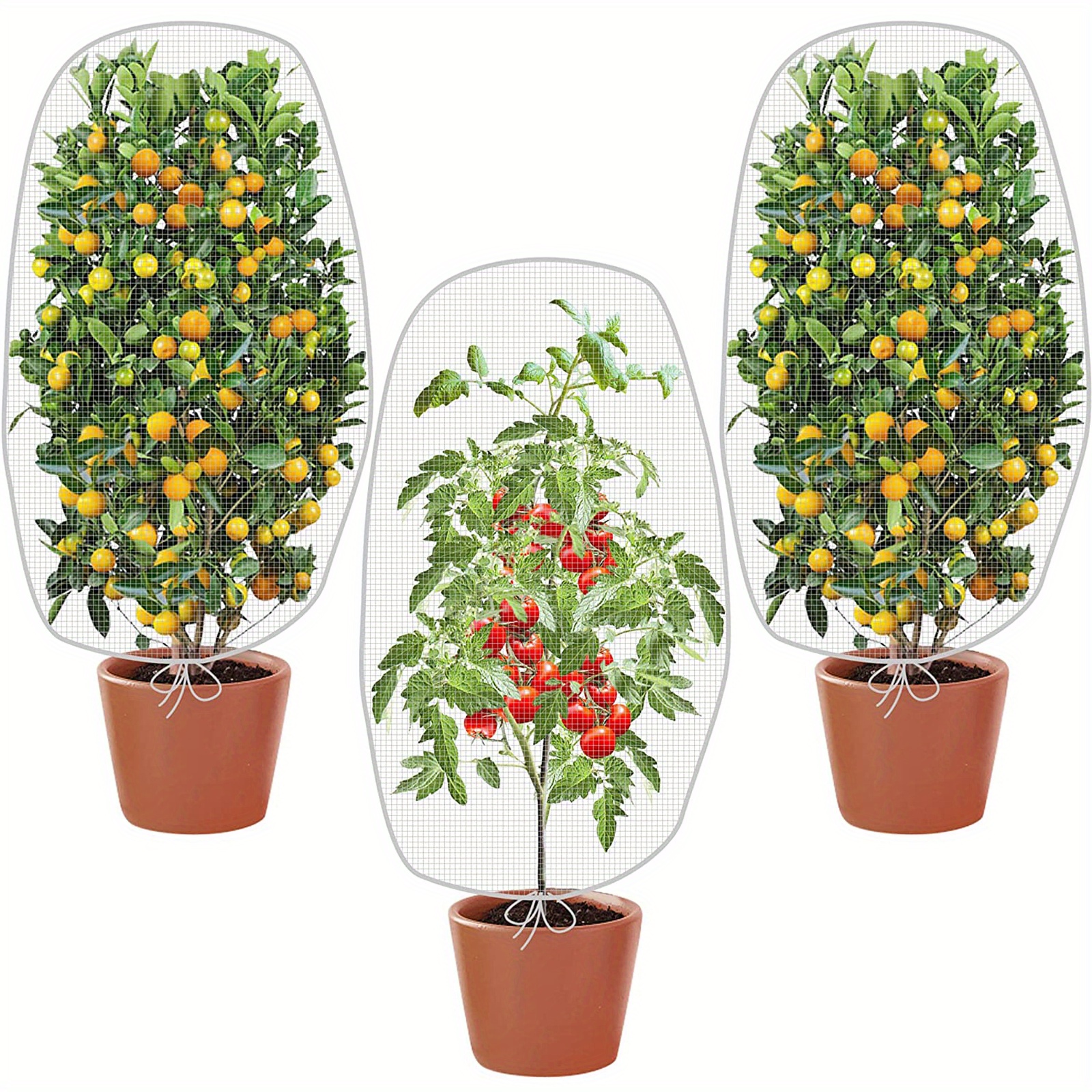 Filet de protection des plantes, filet anti-insectes, 2,5 x 6 m, filet de  protection