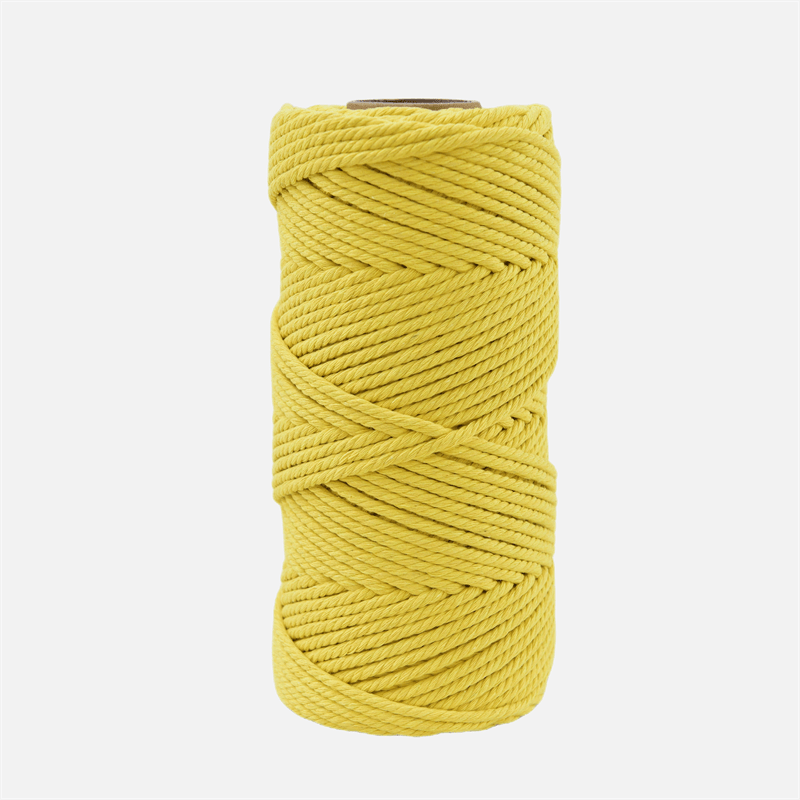 Cuerda de macramé 3mm x 109 ydas cuerda de Natural macramé tapiz