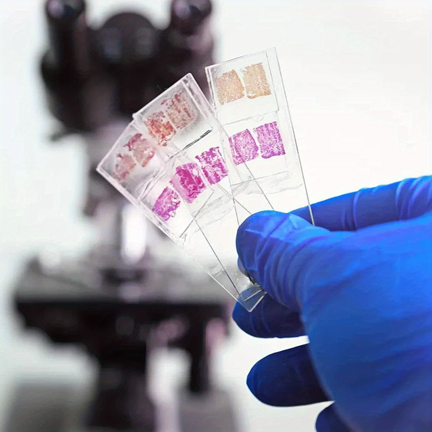 Microscope Slide Set Perfect For Teaching Research Temu