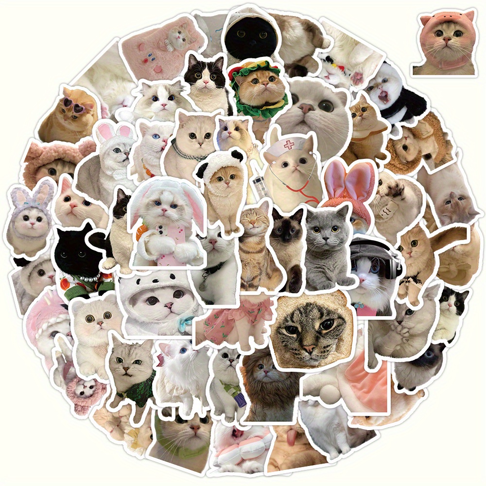  36 Funny Cat Stickers Pack, Hilarious Cat Meme Decals Set,  Waterproof Graphic Cat Face Stickers, for Room Decor, Wall, Tablet, Fridge,  Laptop, Phone, Window, Car, Truck, Suitcase, etc - Style A+B+C 