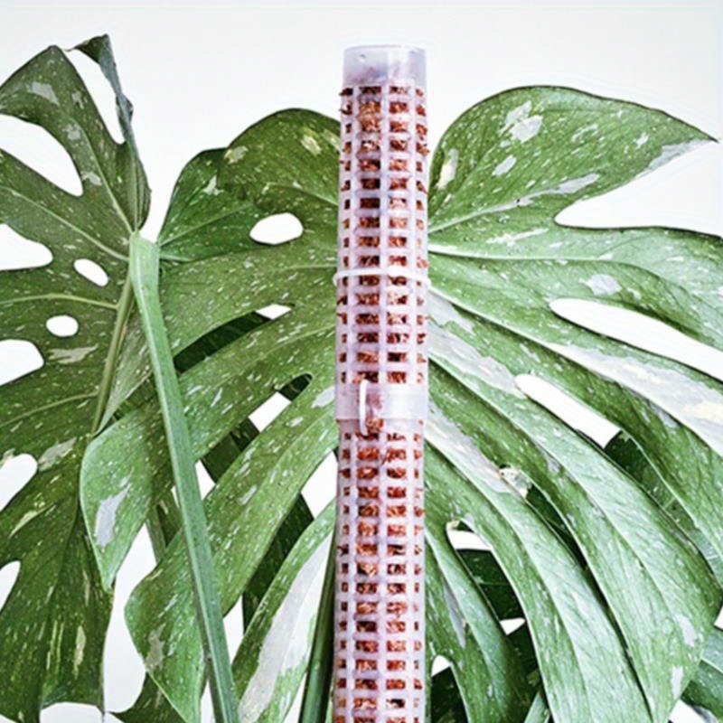 1pc New 25cm Climbing Plant Pole Sphagnum Moss Sticks Plant Growing Support Stick Garden Flower