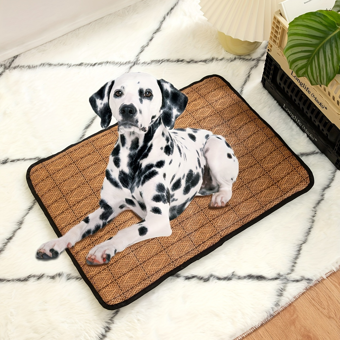 Dalmatian Dog Pattern Bath Rugs Absorbent Non Slip Door Mats Soft