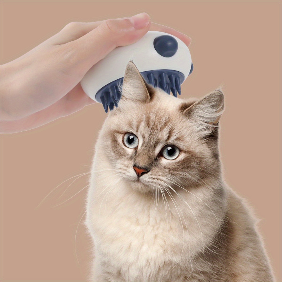 Cat shop hand brush