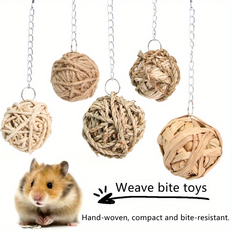 Hanging 2024 hamster toys