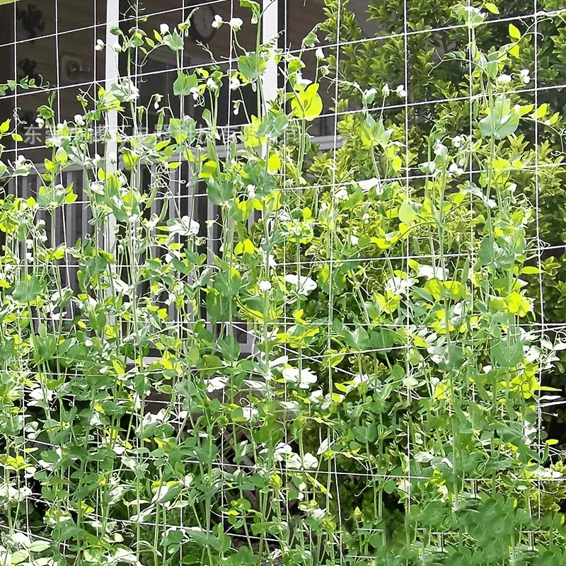 Net Climbing Plant Diy Plant Holder Garden Planting Supplies Temu