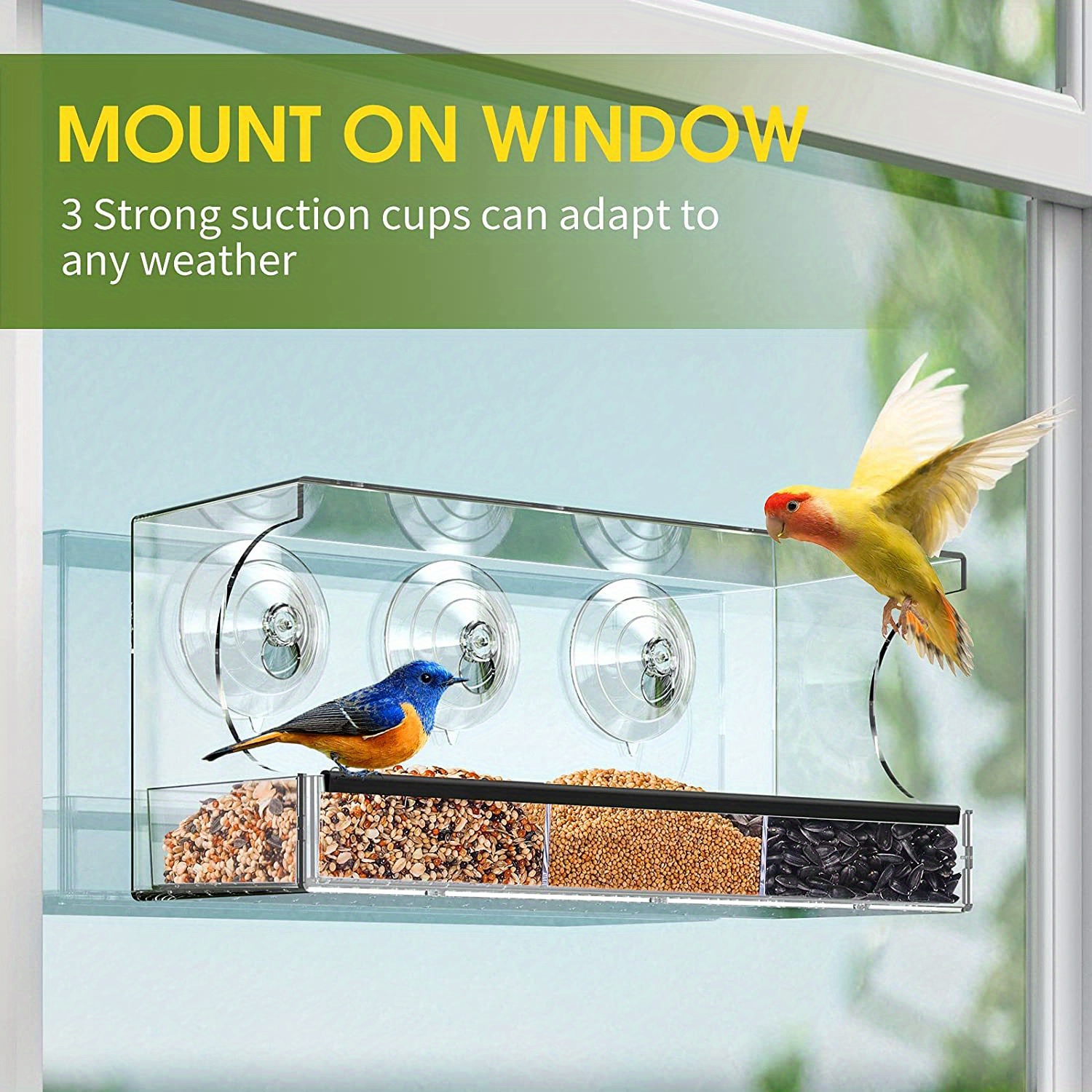 Mangeoire à Oiseaux Transparente en Acrylique - 3 Ventouses Puissantes -  Facile à Remplir et à Nettoyer