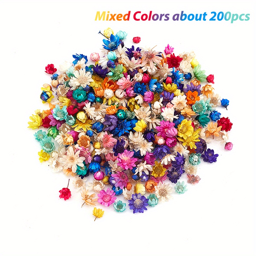 Real Dried Flowers DIY Craft Epoxy Resin Candle Making Jewelry Glas F8N5